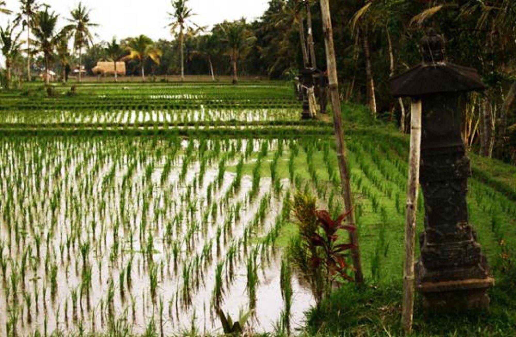 Puri Lotus Hotel Ubud Kültér fotó