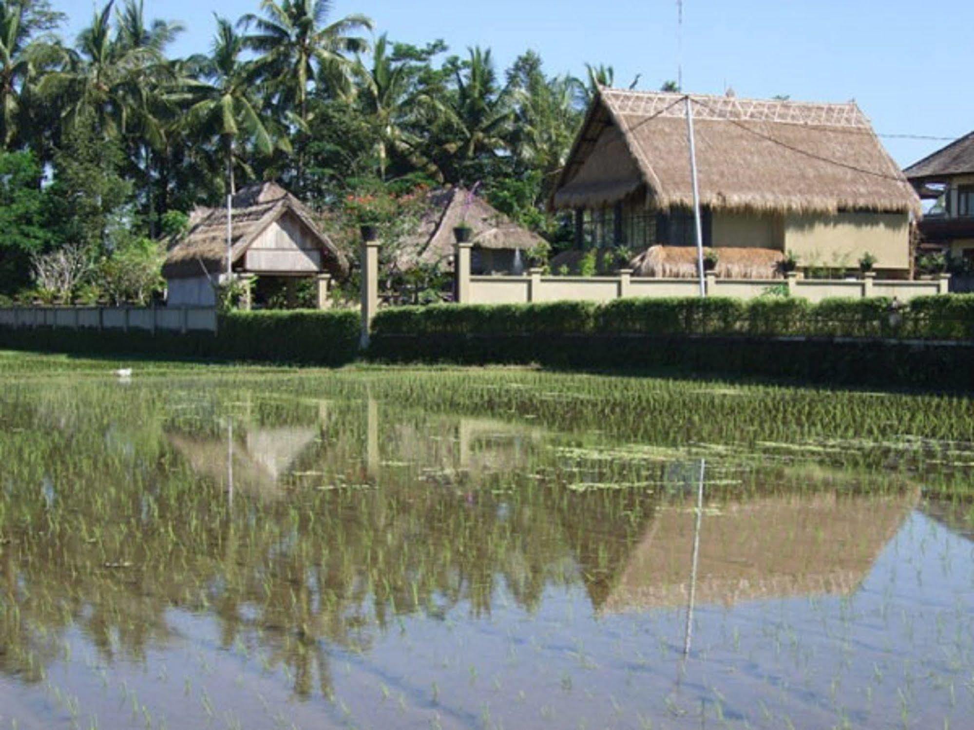 Puri Lotus Hotel Ubud Kültér fotó