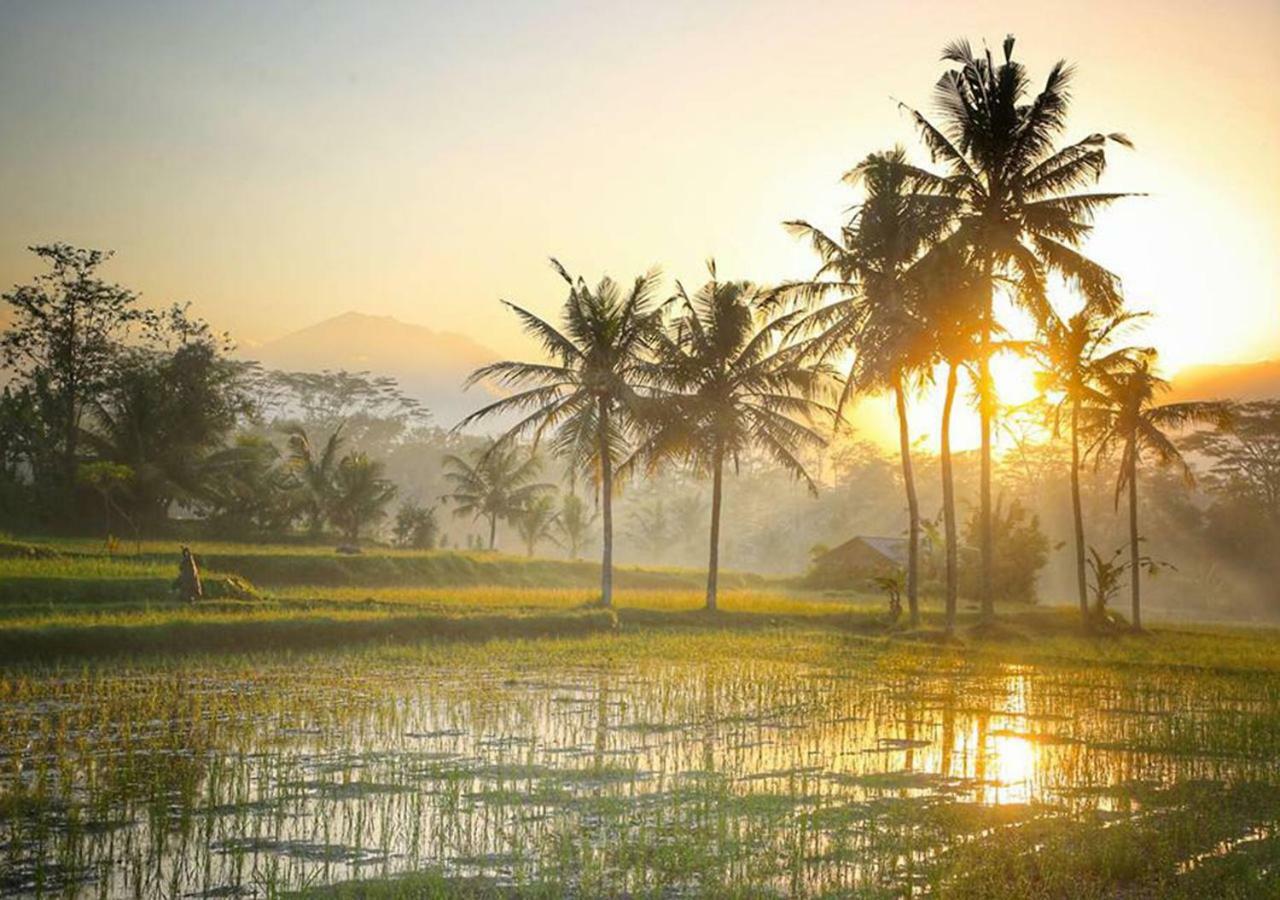 Puri Lotus Hotel Ubud Kültér fotó